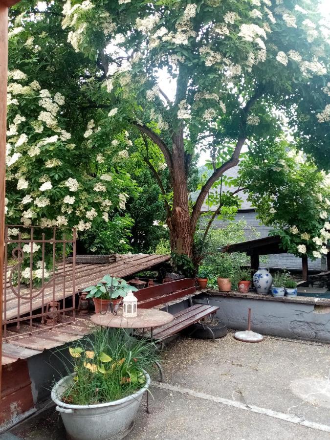 Moselhaus Tante Emma Villa Pünderich Kültér fotó